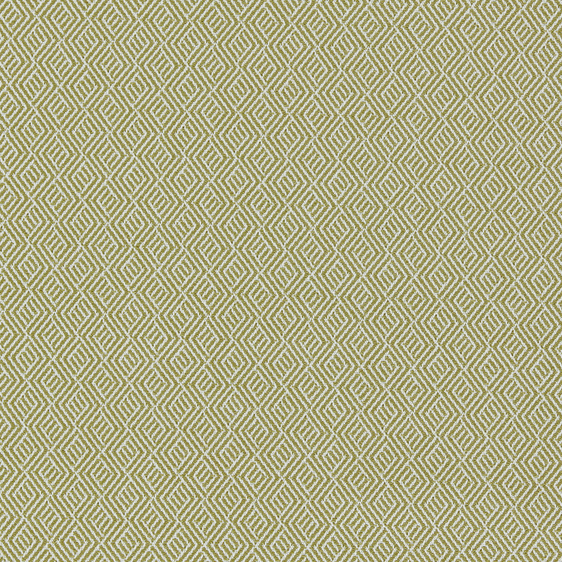 134539 Nalani Indoor Outdoor Weaves II Grass and Chalk Fabric by Harlequin