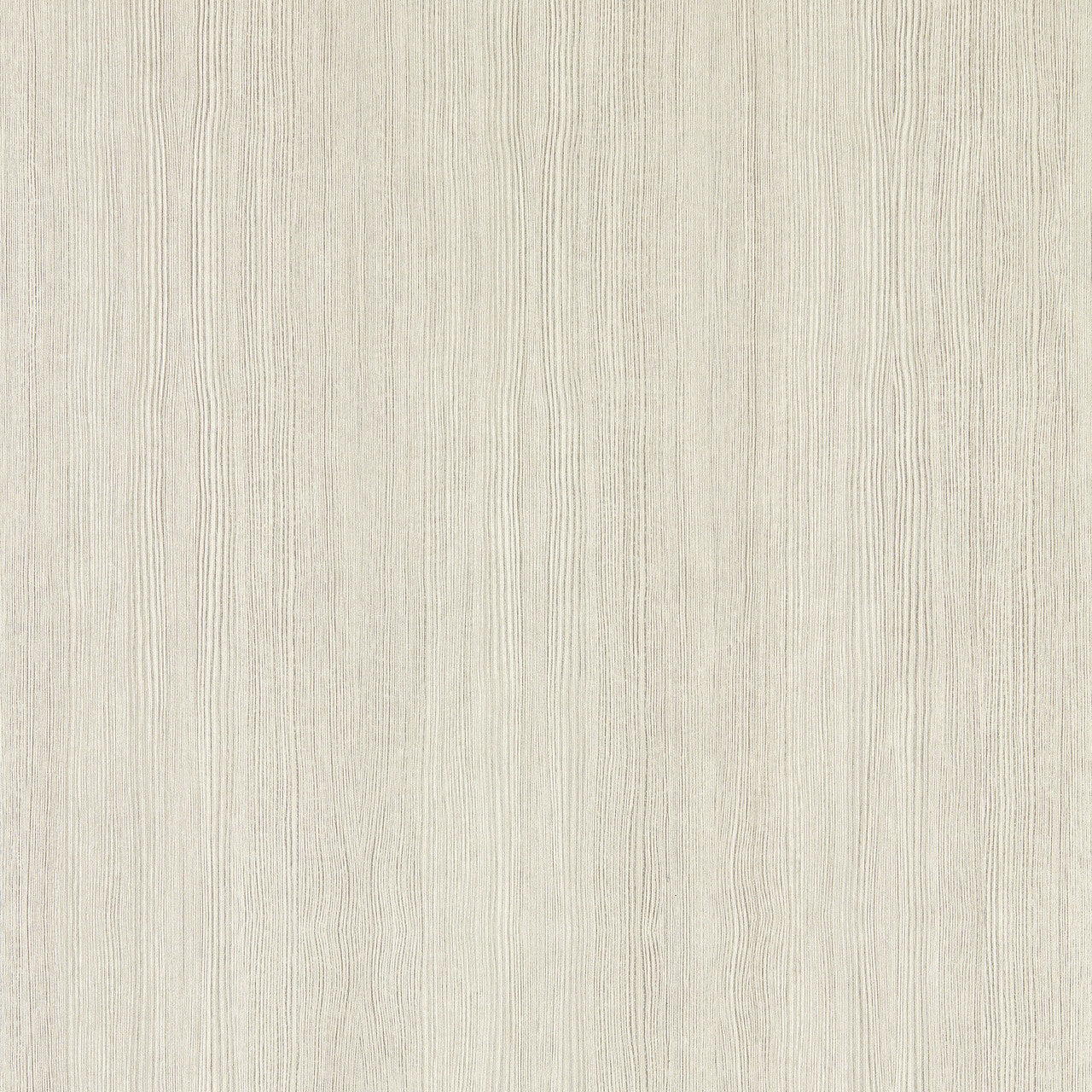 113209 Wood Veneer Kasuri Silver Birch Wallpaper by Harlequin