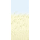 113230 Miscanthus Mural Kasuri Buttermilk and Sky Wallpaper by Harlequin