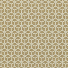 110379 Trellis Colour 3 Rose Gold Wallpaper by Harlequin