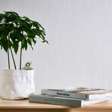 HO20045 Plain Distressed Texture Home Cream and Grey Wallpaper By Galerie