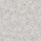 HO20051 Plaster Texture Home Grey, Gold and Metallic Wallpaper By Galerie