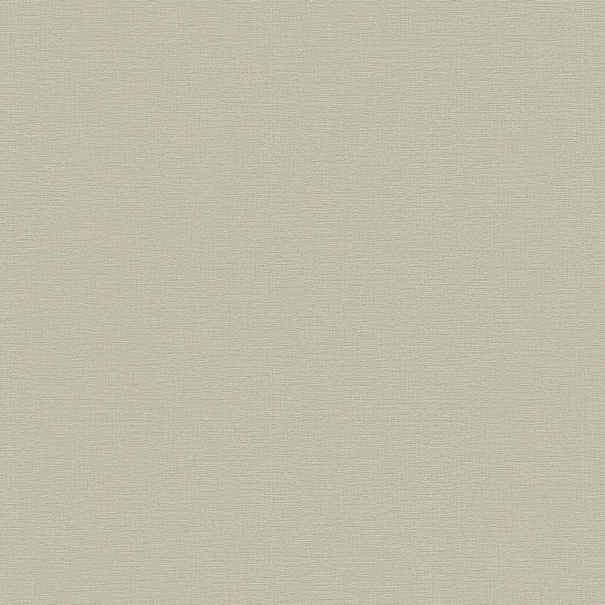 HO20059 Plain Texture Home Beige and Taupe Wallpaper By Galerie
