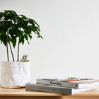 HO20063 Plain Texture Home White Wallpaper By Galerie