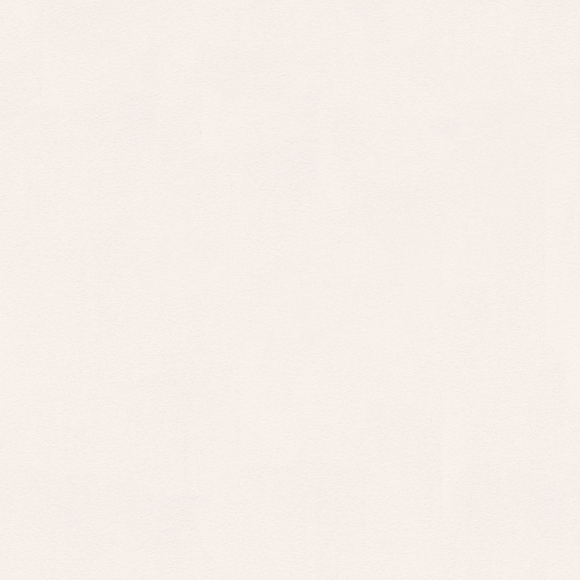 HO20068 Plain Texture Home White and Metallic Wallpaper By Galerie