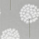 Amity Purity Silver and Chalk Wallpaper by Harlequin