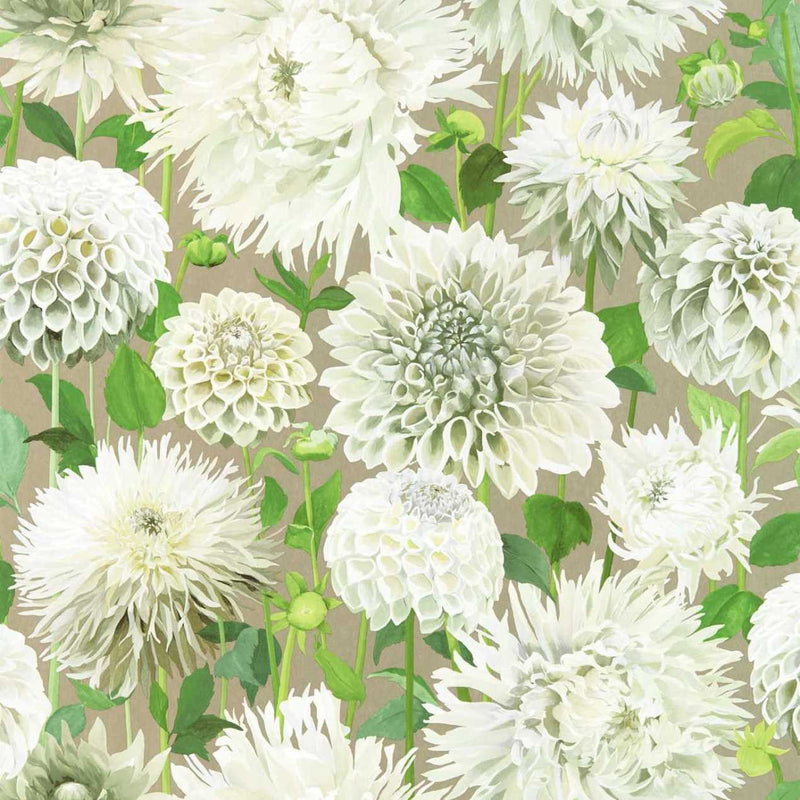 112844 (HQN2112844) Dahlia Colour 2 Wallpaper by Harlequin