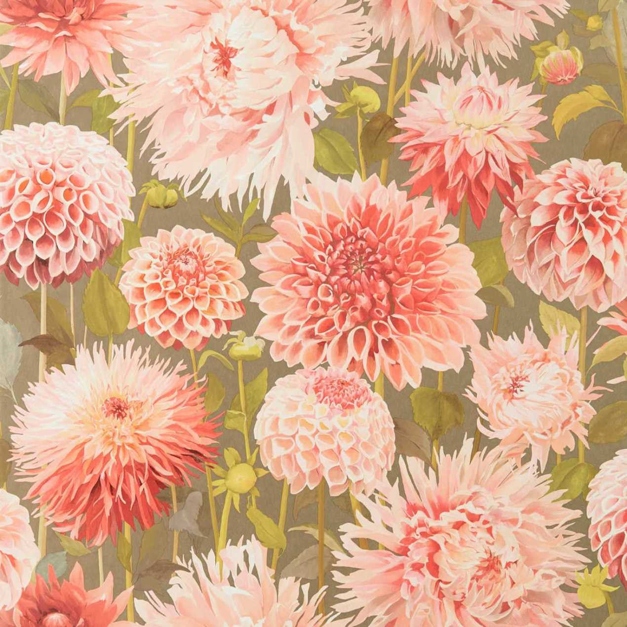 112845 (HQN2112845) Dahlia Colour 2 Wallpaper by Harlequin