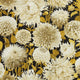 Dahlia Colour 2 Wallpaper by Harlequin