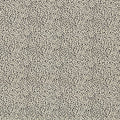 Fawn Reflect Dalmatian Fabric by Harlequin
