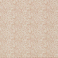 Fawn Reflect Tiger Fabric by Harlequin