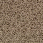 134033 Fawn Reflect Fossil Fabric by Harlequin