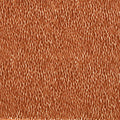Lacuna Reflect Tiger Harlequin Fabric