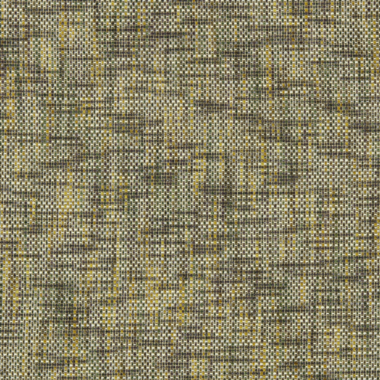 134557 Cestino Sgraffito II Moss Fabric by Harlequin