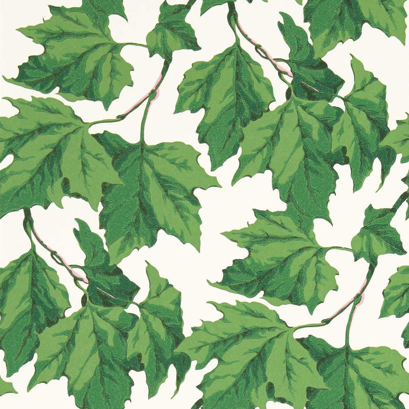 113045 Dappled Leaf Emerald Sophie Robinson Wallpaper By Harlequin