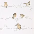 111484 Perisco Purity Neutral and Chalk Wallpaper by Harlequin