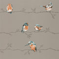 Perisco Purity Tangerine and Duckegg Wallpaper by Harlequin