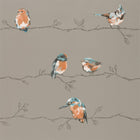 111485 Perisco Purity Tangerine and Duckegg Wallpaper by Harlequin
