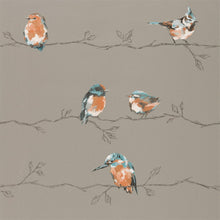 111485 Perisco Purity Tangerine and Duckegg Wallpaper by Harlequin