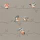 Perisco Purity Tangerine and Duckegg Wallpaper by Harlequin