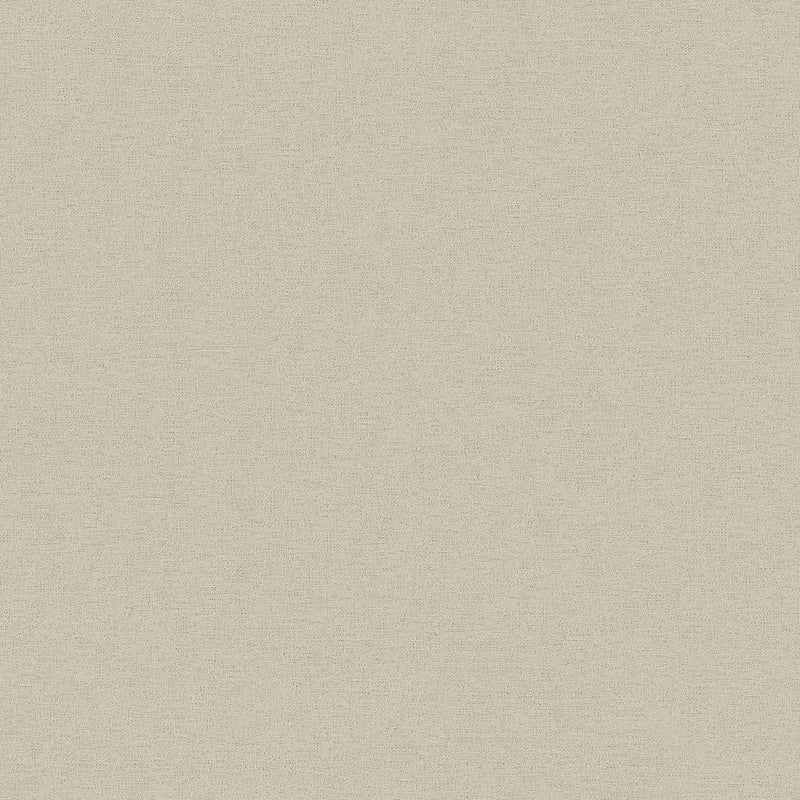 HV41013 Havana Plain Texture Wallpaper by Galerie