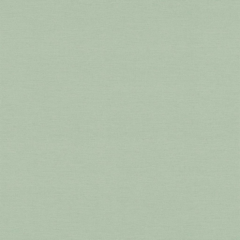 HV41018 Havana Plain Texture Wallpaper by Galerie