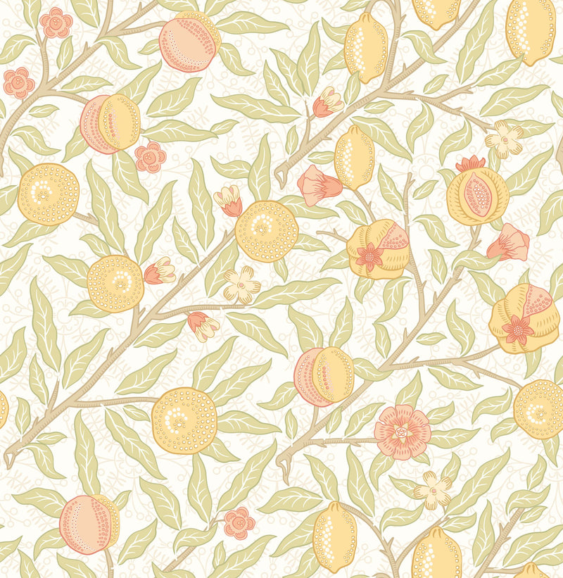 HWA1505W Fruit & Foliage Citrus Eden II Wallpaper by Hoopla Walls