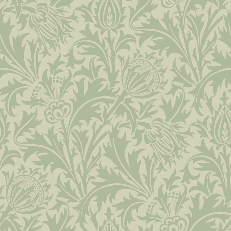 HWA1524W Thistle Damask Sage Eden II Wallpaper by Hoopla Walls