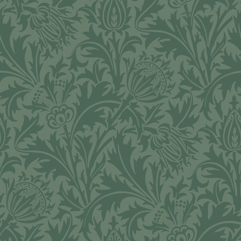 HWA1525W Thistle Damask Forest Eden II Wallpaper by Hoopla Walls