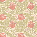 Tulip Trail Coral Eden II Wallpaper by Hoopla Walls