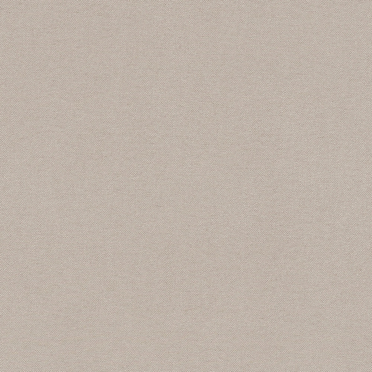Plain Texture Beige and Bronze Brown Hygge Home Wallpaper by Galerie