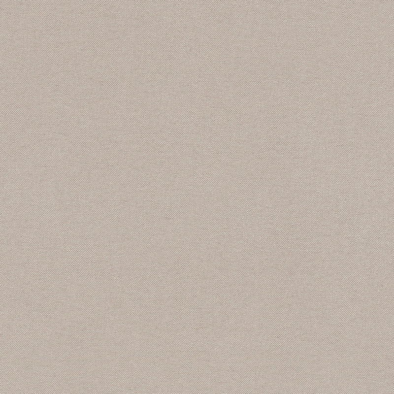 Plain Texture Beige and Bronze Brown Hygge Home Wallpaper by Galerie