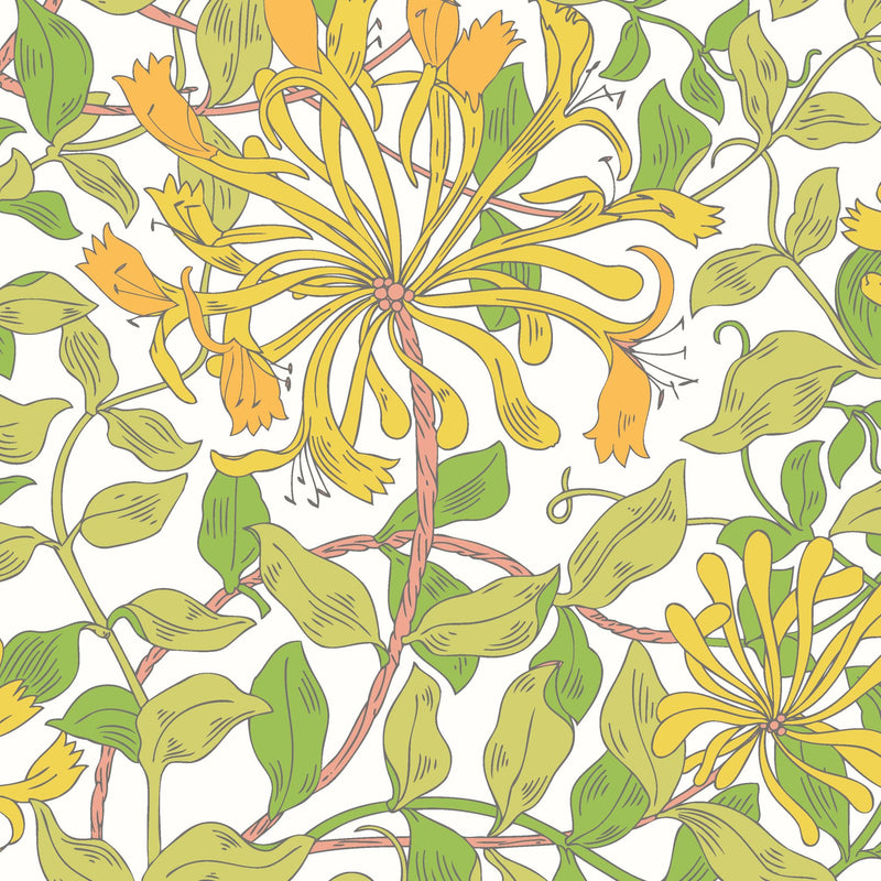 HWA1074W Honeysuckle Leaf Trail Sunshine Yellow Wallpaper by Hoopla Walls