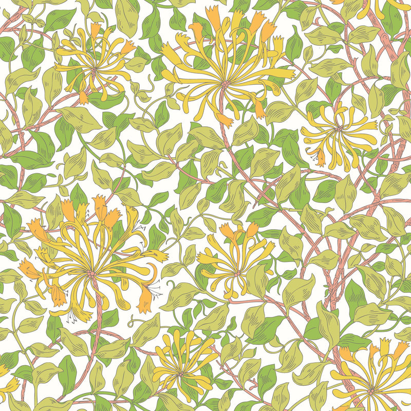 HWA1074W Honeysuckle Leaf Trail Sunshine Yellow Wallpaper by Hoopla Walls