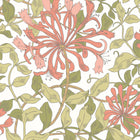 HWA1075W Honeysuckle Leaf Trail Coral Pink Wallpaper by Hoopla Walls
