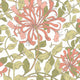 Honeysuckle Leaf Trail Coral Pink Eden Wallpaper by Hoopla Walls
