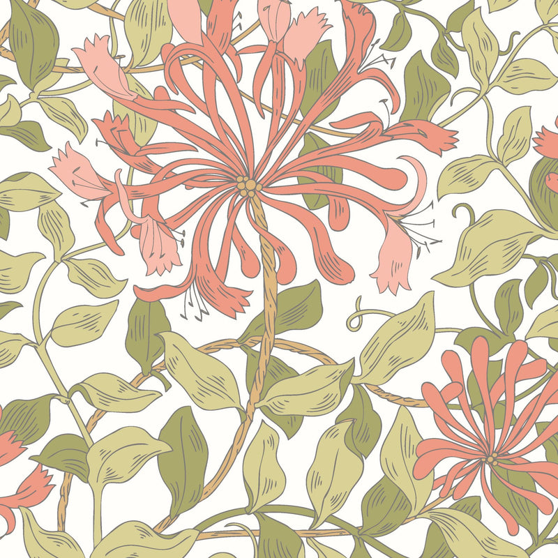 HWA1075W Honeysuckle Leaf Trail Coral Pink Wallpaper by Hoopla Walls
