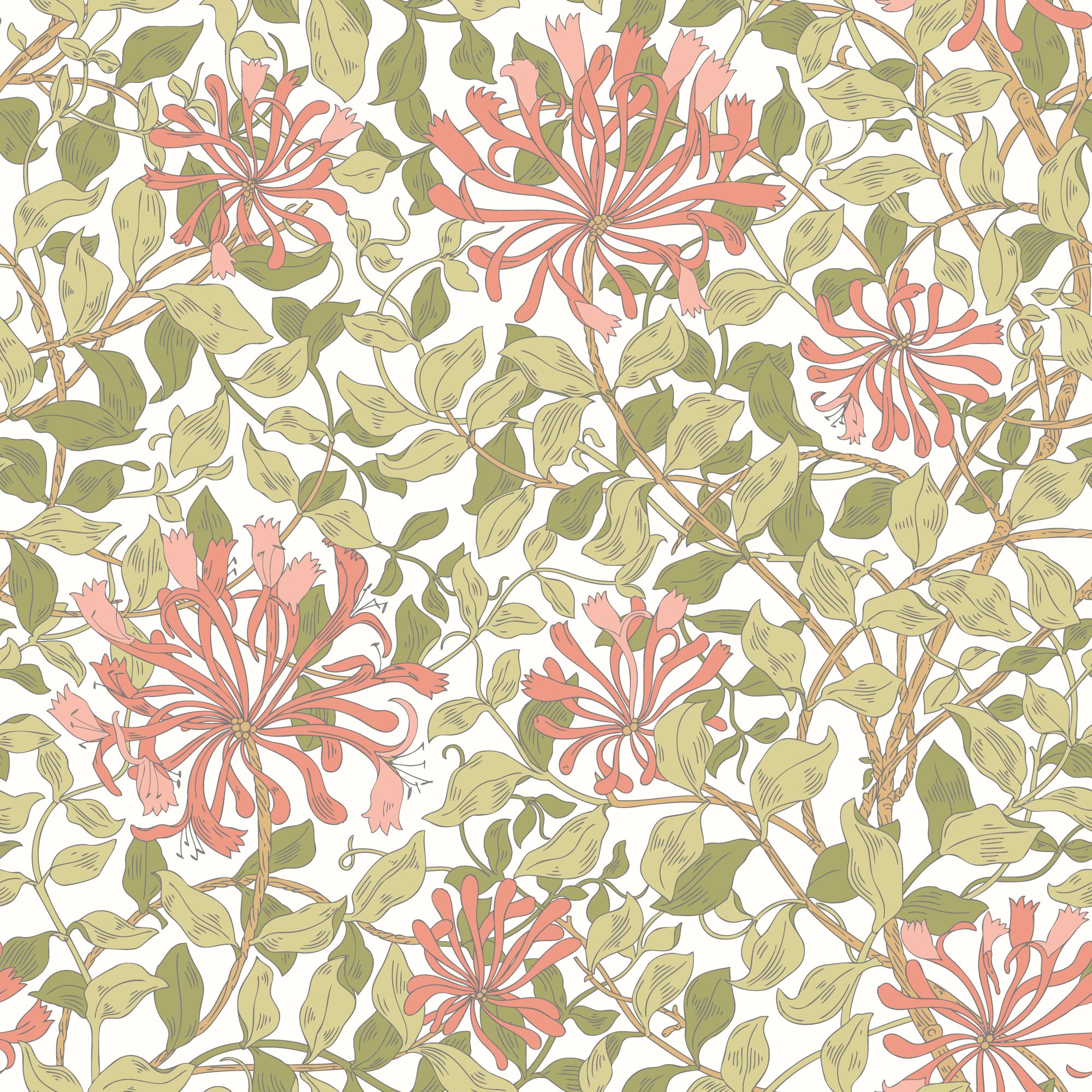 HWA1075W Honeysuckle Leaf Trail Coral Pink Wallpaper by Hoopla Walls