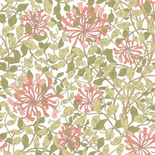 HWA1075W Honeysuckle Leaf Trail Coral Pink Wallpaper by Hoopla Walls