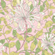 Honeysuckle Leaf Trail Soft Pink Eden Wallpaper by Hoopla Walls