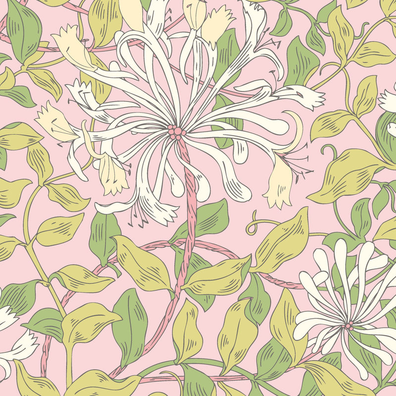 HWA1076W Honeysuckle Leaf Trail Soft Pink Wallpaper by Hoopla Walls
