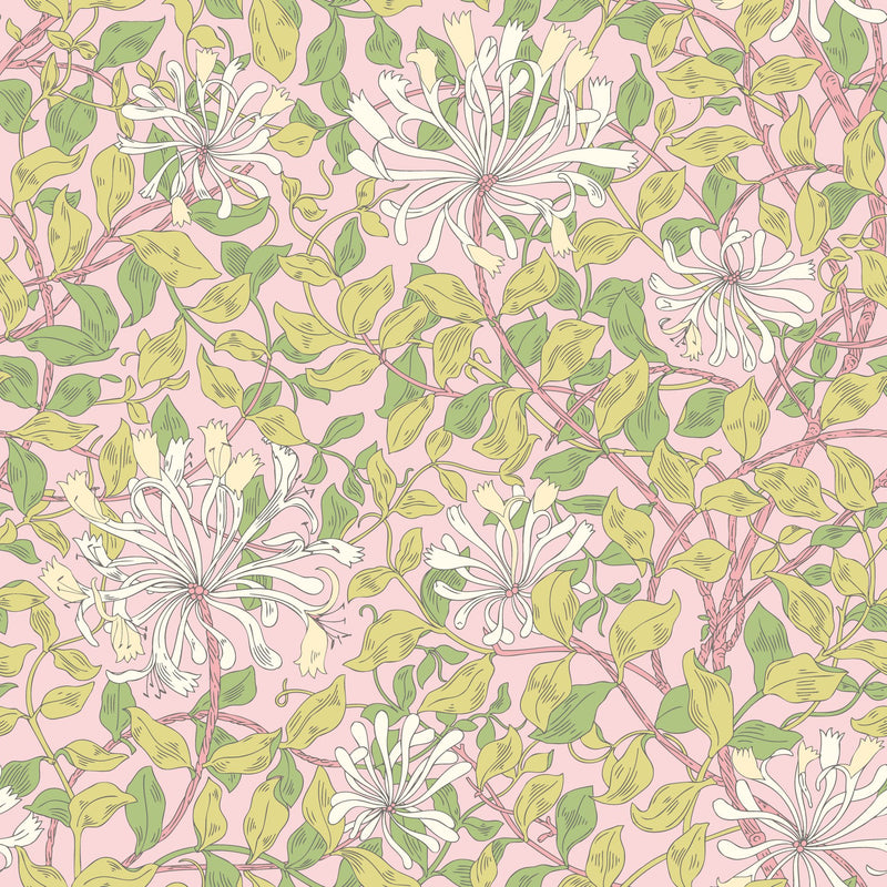 HWA1076W Honeysuckle Leaf Trail Soft Pink Wallpaper by Hoopla Walls