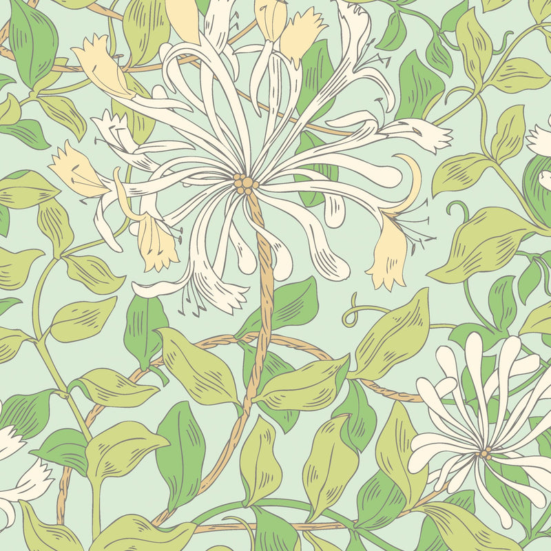 HWA1077W Honeysuckle Leaf Trail Duck Egg Blue Wallpaper by Hoopla Walls