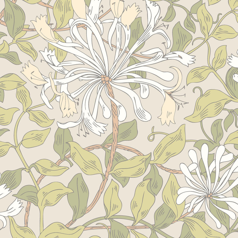 HWA1078W Honeysuckle Leaf Trail Stone Natural Wallpaper by Hoopla Walls