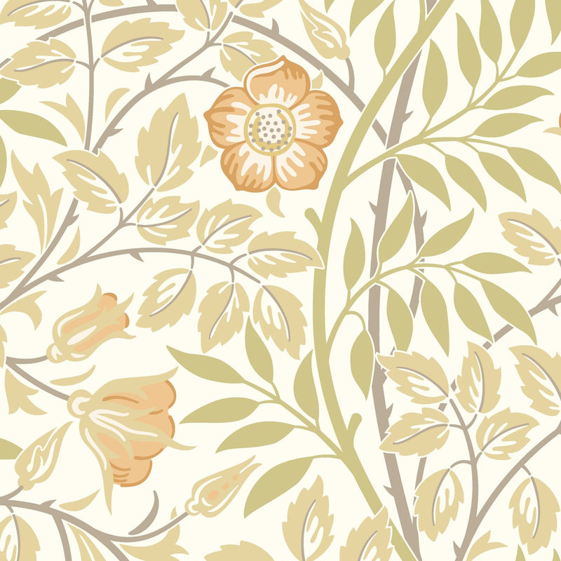 HWA1087W Rosehip Trail Soft Amber Wallpaper by Hoopla Walls