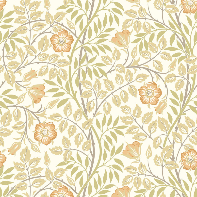 HWA1087W Rosehip Trail Soft Amber Wallpaper by Hoopla Walls
