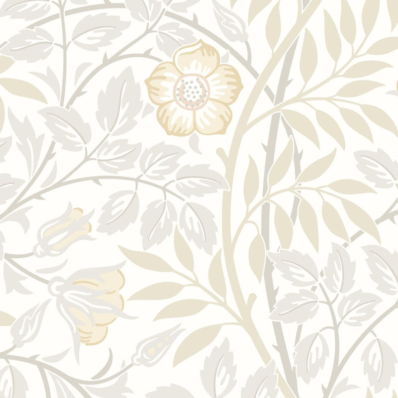 HWA1089W Rosehip Trail Natural Stone Wallpaper by Hoopla Walls
