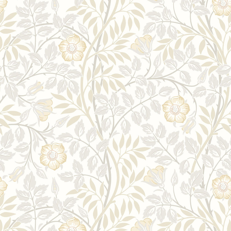 HWA1089W Rosehip Trail Natural Stone Wallpaper by Hoopla Walls