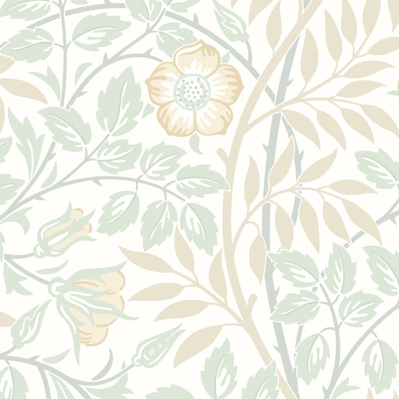 HWA1090W Rosehip Trail Soft Mint Wallpaper by Hoopla Walls