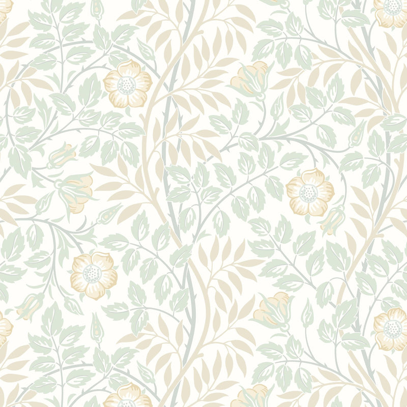 HWA1090W Rosehip Trail Soft Mint Wallpaper by Hoopla Walls